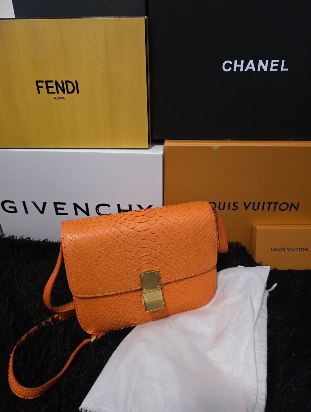 Celine Phyton Skin Box Crossbody Bag with Gold Accent